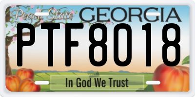 GA license plate PTF8018