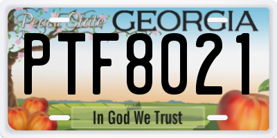 GA license plate PTF8021