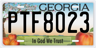 GA license plate PTF8023
