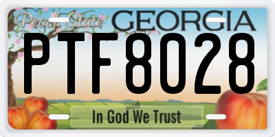 GA license plate PTF8028