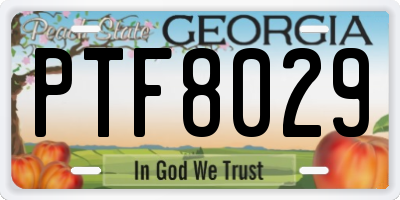 GA license plate PTF8029