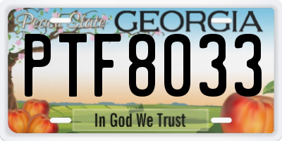 GA license plate PTF8033