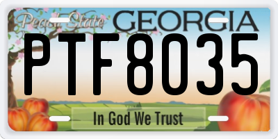 GA license plate PTF8035