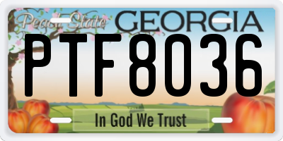 GA license plate PTF8036