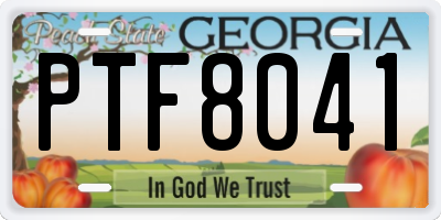GA license plate PTF8041