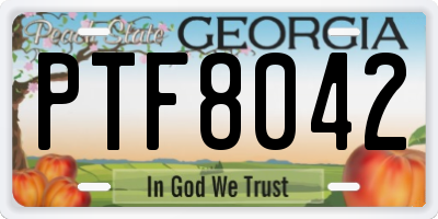 GA license plate PTF8042