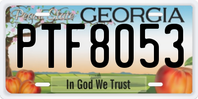 GA license plate PTF8053