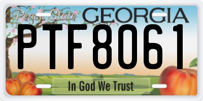 GA license plate PTF8061