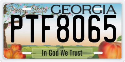 GA license plate PTF8065
