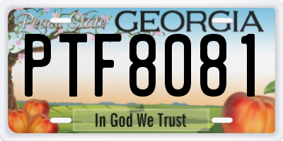 GA license plate PTF8081