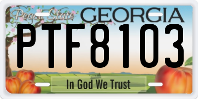 GA license plate PTF8103