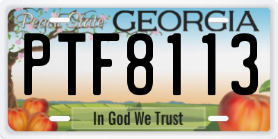 GA license plate PTF8113