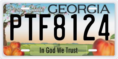 GA license plate PTF8124