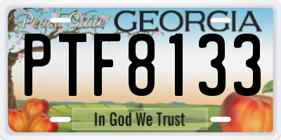 GA license plate PTF8133