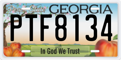 GA license plate PTF8134