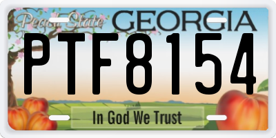 GA license plate PTF8154