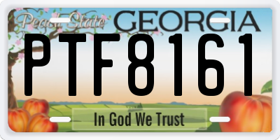 GA license plate PTF8161