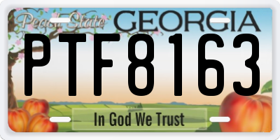 GA license plate PTF8163