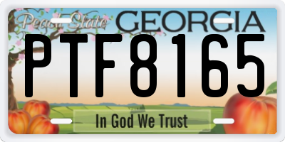 GA license plate PTF8165