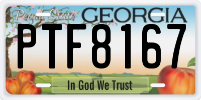 GA license plate PTF8167