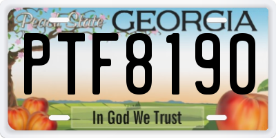 GA license plate PTF8190