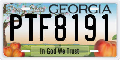 GA license plate PTF8191