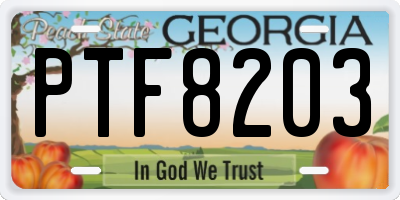 GA license plate PTF8203