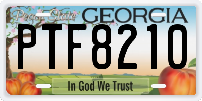 GA license plate PTF8210