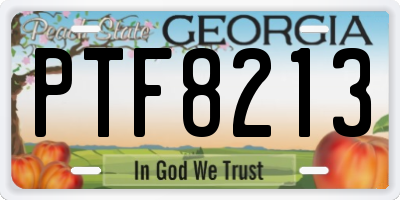 GA license plate PTF8213
