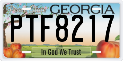 GA license plate PTF8217