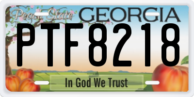 GA license plate PTF8218