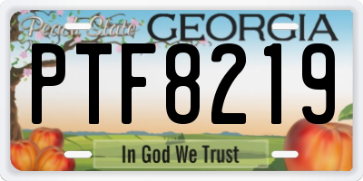GA license plate PTF8219