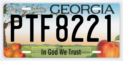 GA license plate PTF8221