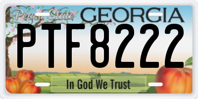 GA license plate PTF8222