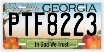 GA license plate PTF8223