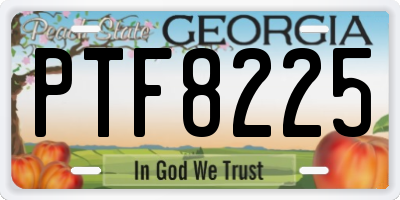 GA license plate PTF8225