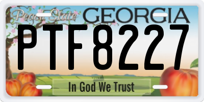 GA license plate PTF8227