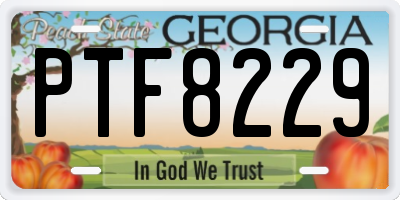 GA license plate PTF8229