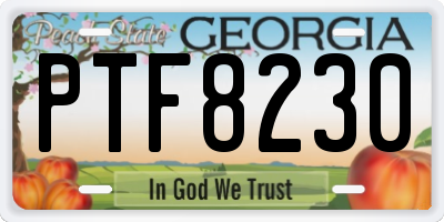 GA license plate PTF8230