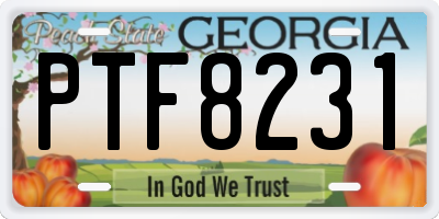 GA license plate PTF8231