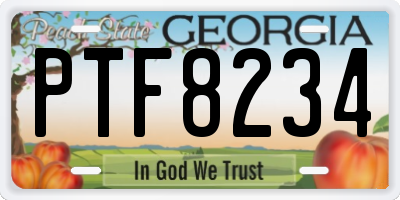GA license plate PTF8234