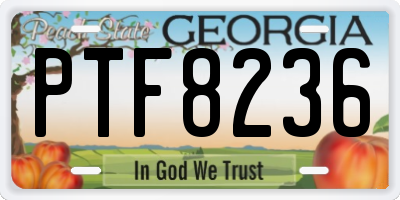 GA license plate PTF8236
