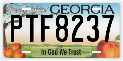 GA license plate PTF8237