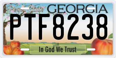 GA license plate PTF8238