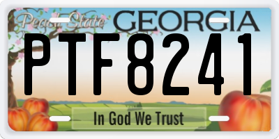 GA license plate PTF8241