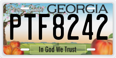GA license plate PTF8242