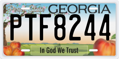 GA license plate PTF8244