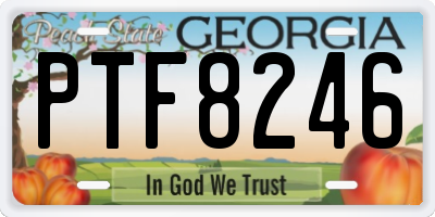 GA license plate PTF8246