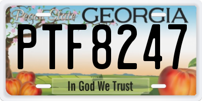 GA license plate PTF8247