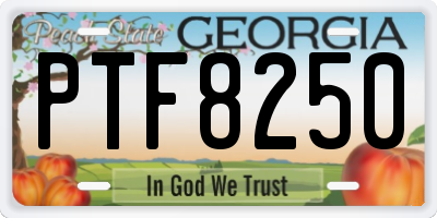 GA license plate PTF8250